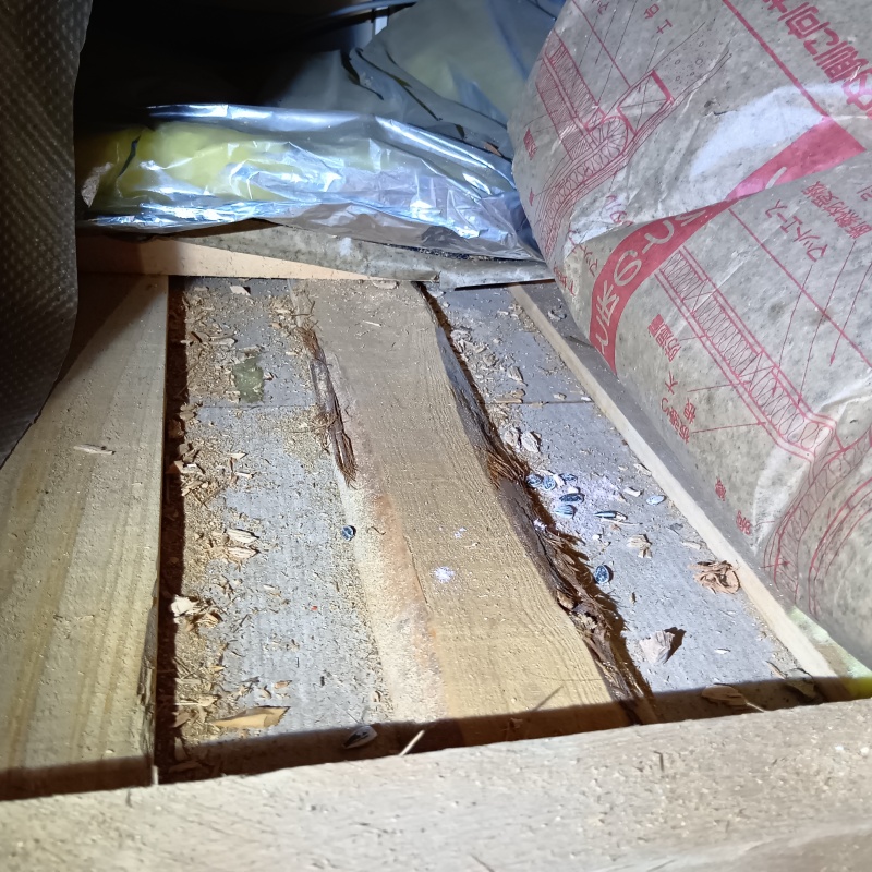 ネズミ駆除の施工事例（茨城県日立市台原町）