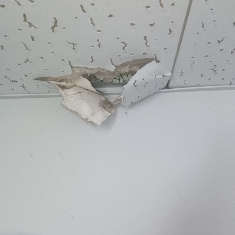 ネズミ駆除の施工事例（新潟県新潟市東区）