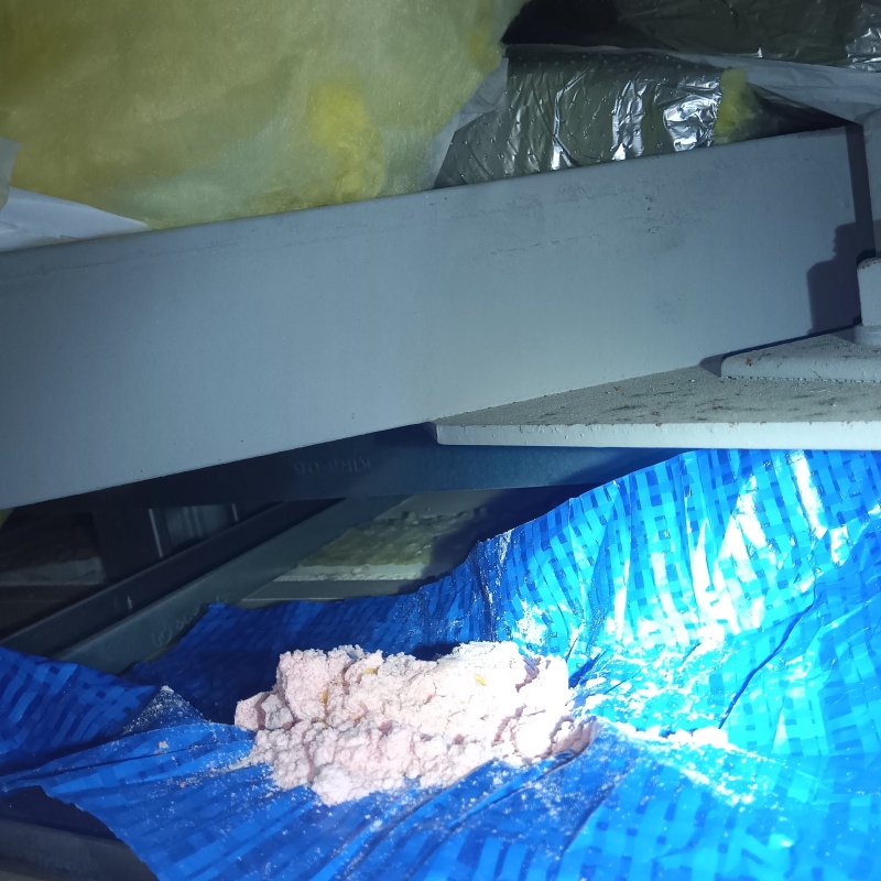 天井裏に殺鼠剤を設置