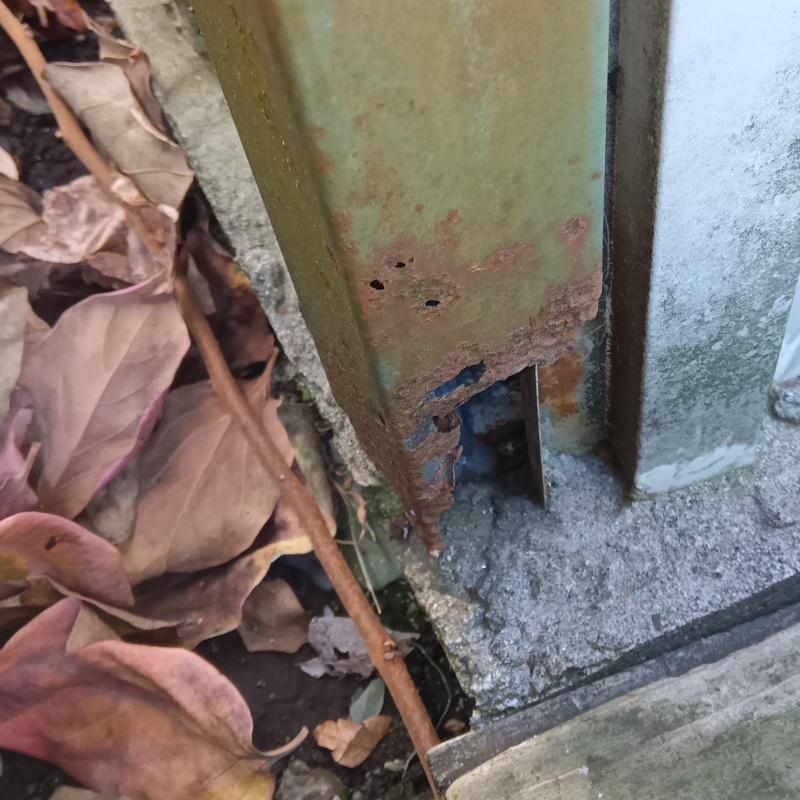 ネズミ駆除の施工事例（東京都三鷹市井の頭）