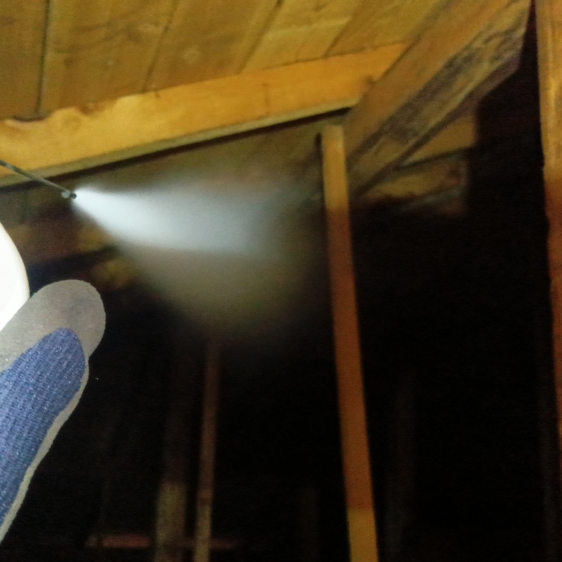 忌避スプレーを散布