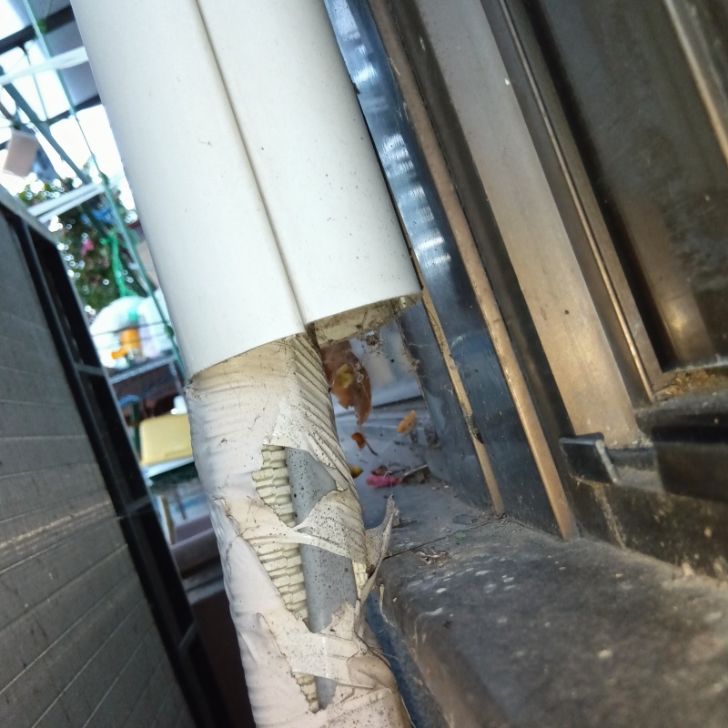 ネズミ駆除の施工事例（福島県福島市本内字中川原）