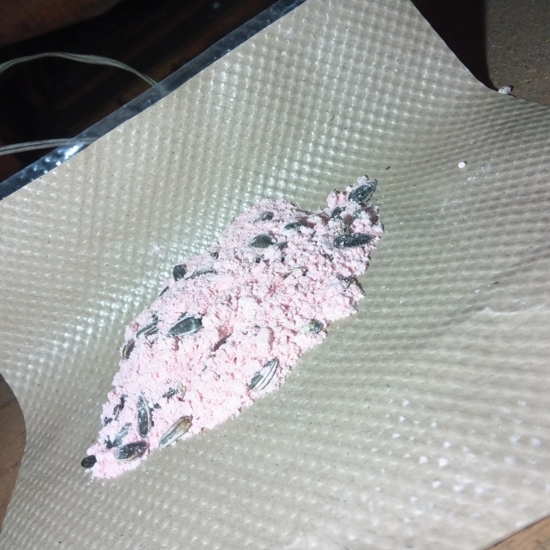 ネズミ駆除の施工事例（神奈川県横浜市南区六ツ川）