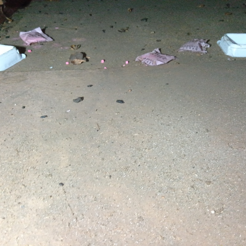 ネズミが殺鼠剤を食べたあと