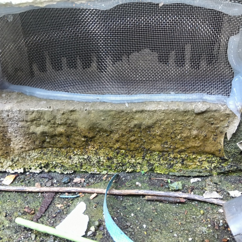 床下換気口を金網とパテで封鎖