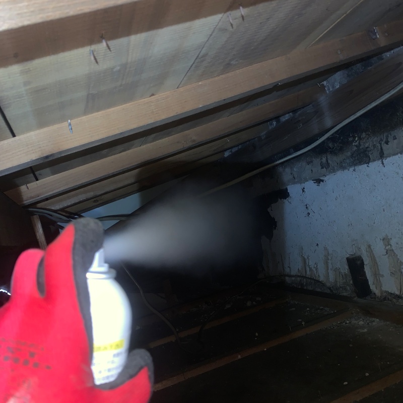 忌避スプレーを散布