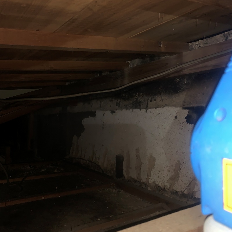 噴霧器で除菌剤を散布