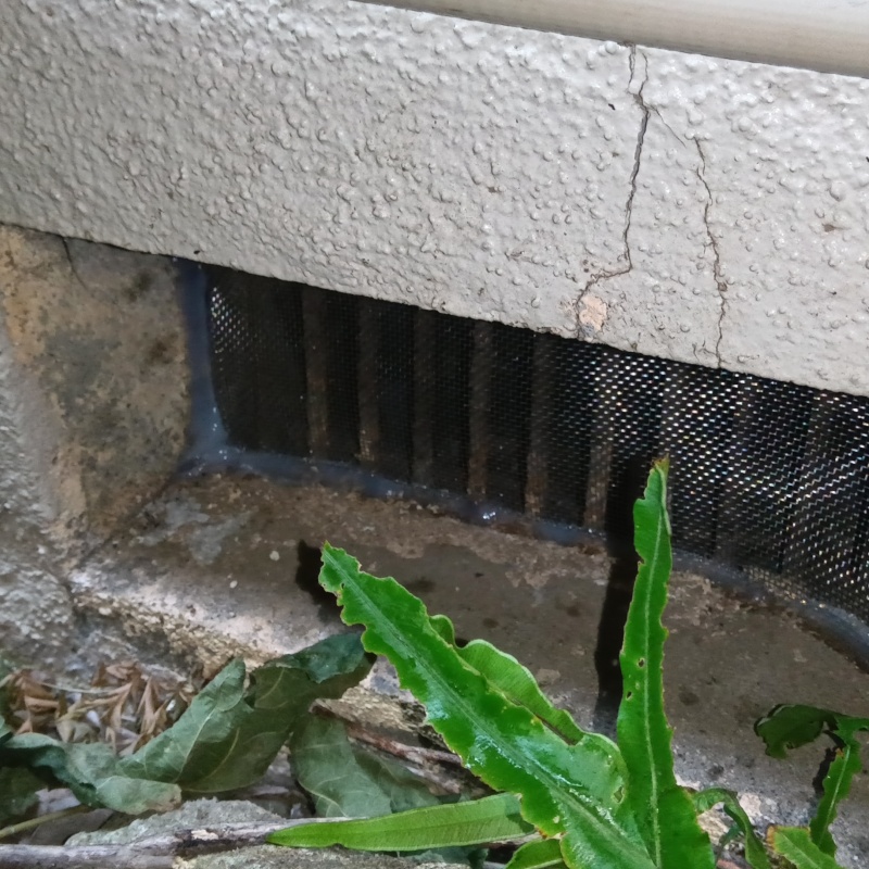 床下換気口を金網とパテで封鎖