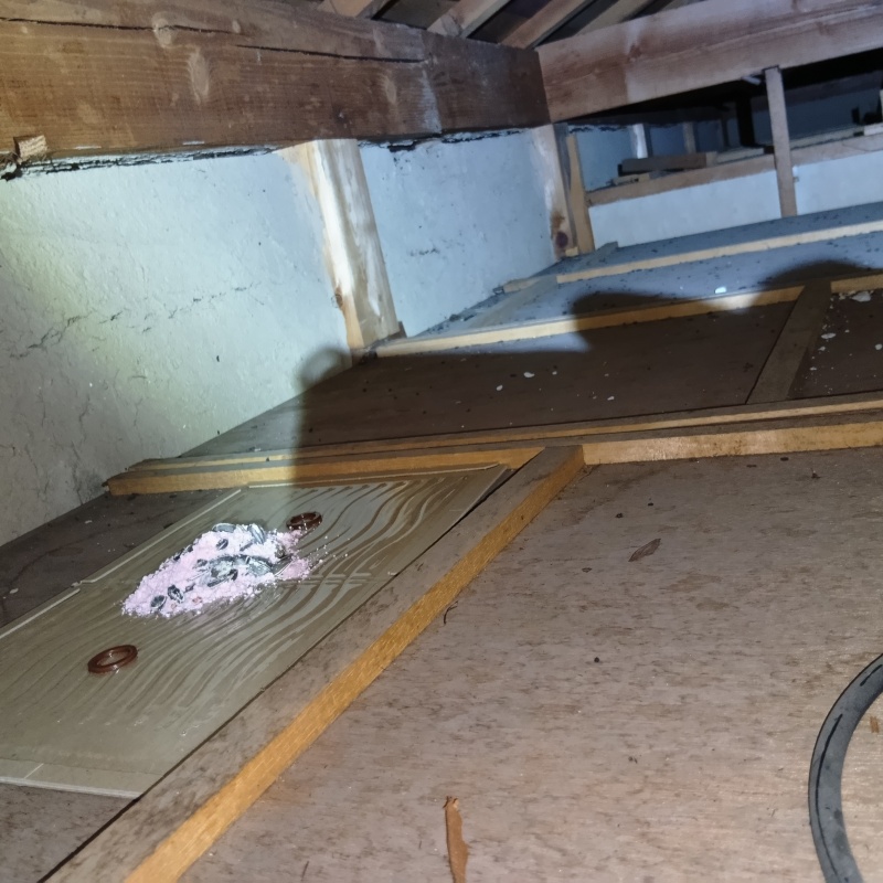 粘着シートの上に殺鼠剤を設置