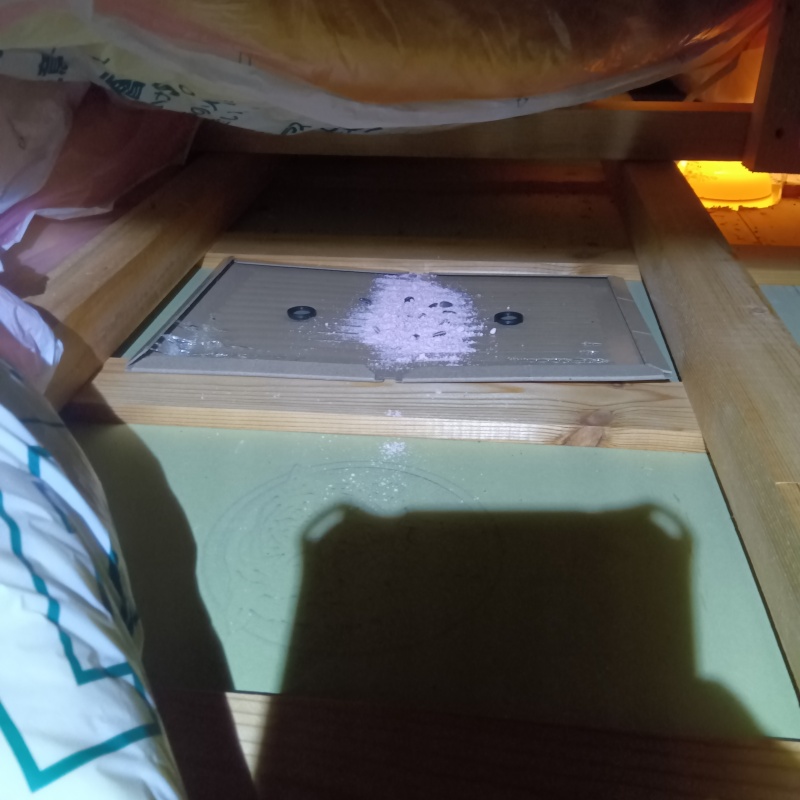 粘着シートの上に殺鼠剤を設置