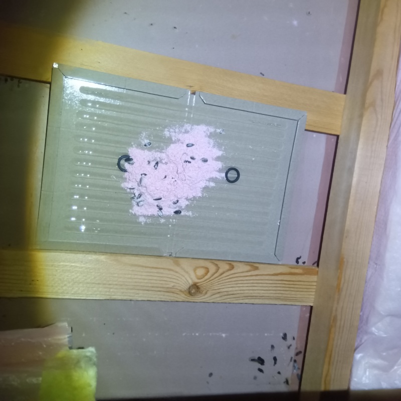 粘着シートの上に殺鼠剤を設置