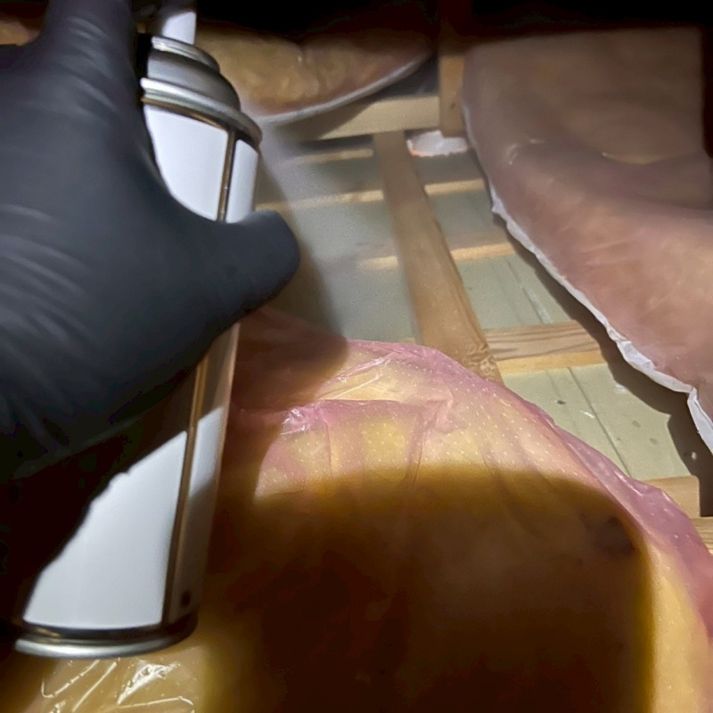 殺虫剤をスプレー