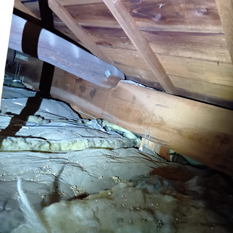 ネズミ駆除の施工事例（茨城県笠間市笠間）