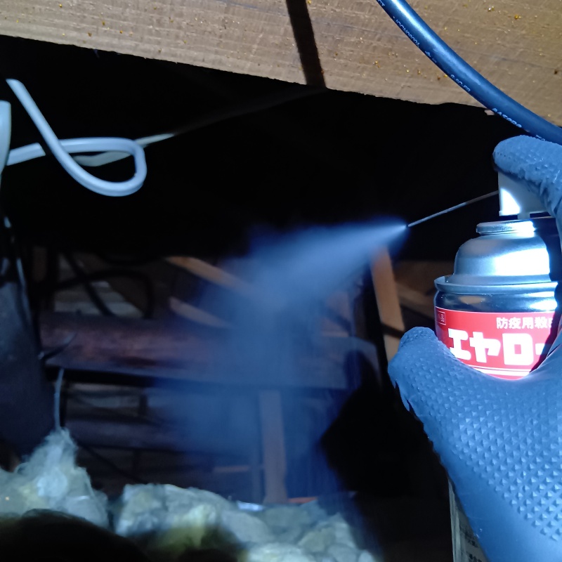 殺虫剤をスプレー