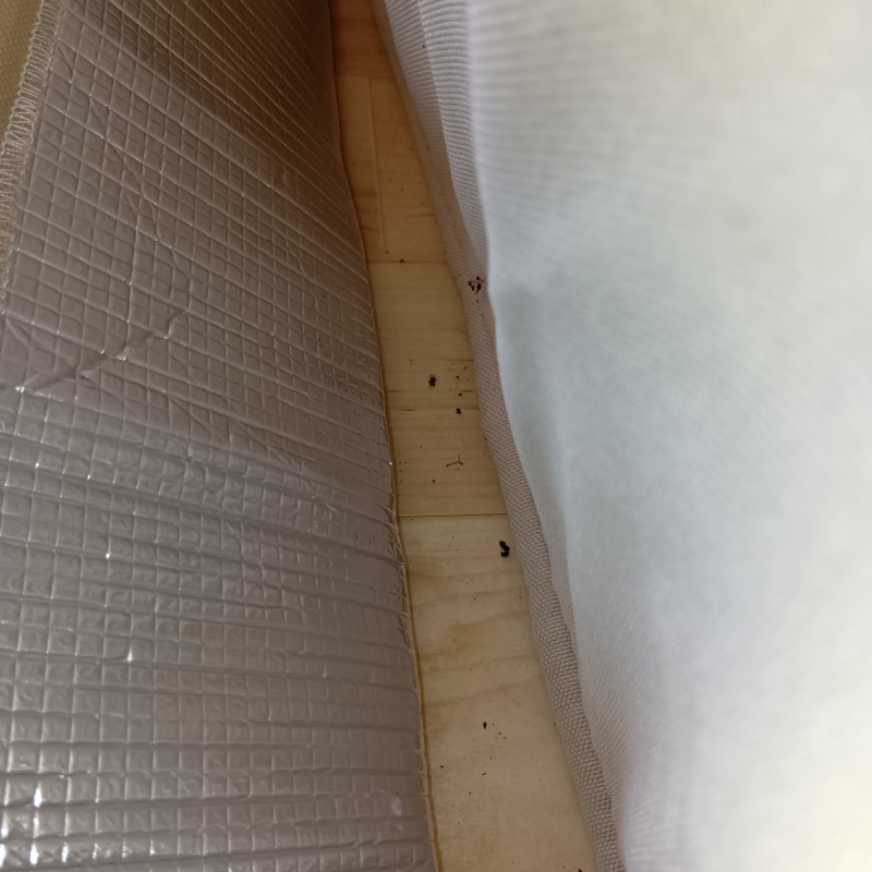 断熱材の裏にあったフン