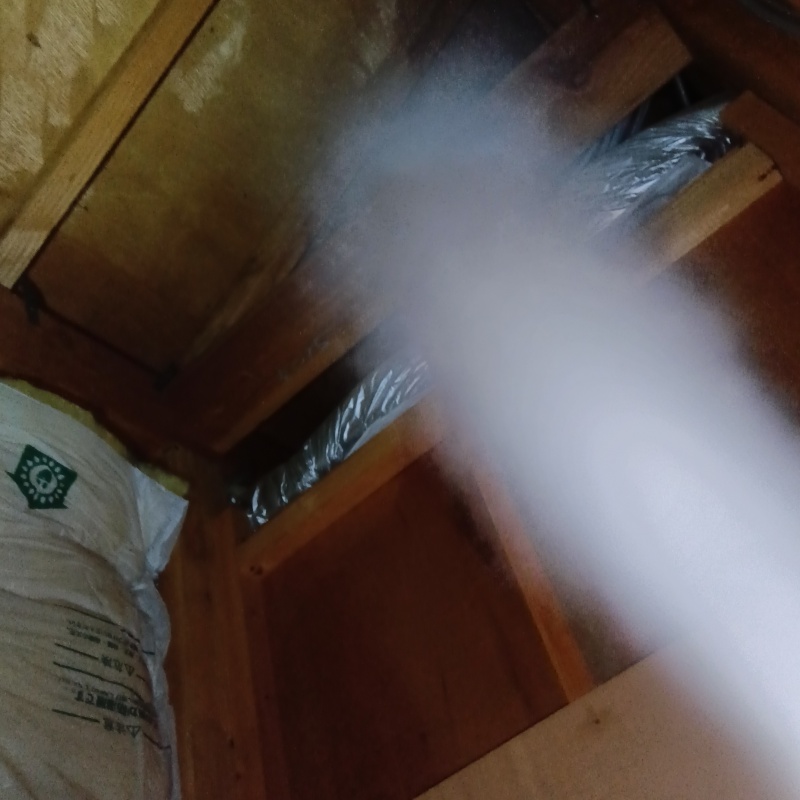 屋根裏に忌避スプレーを散布