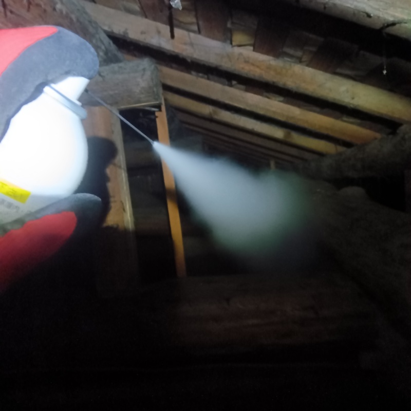 屋根裏に忌避スプレーを散布