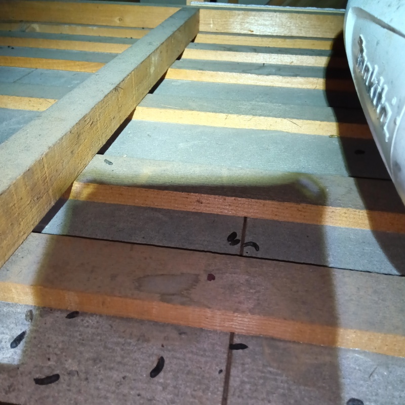 ネズミ駆除の施工事例（山梨県甲斐市西八幡）