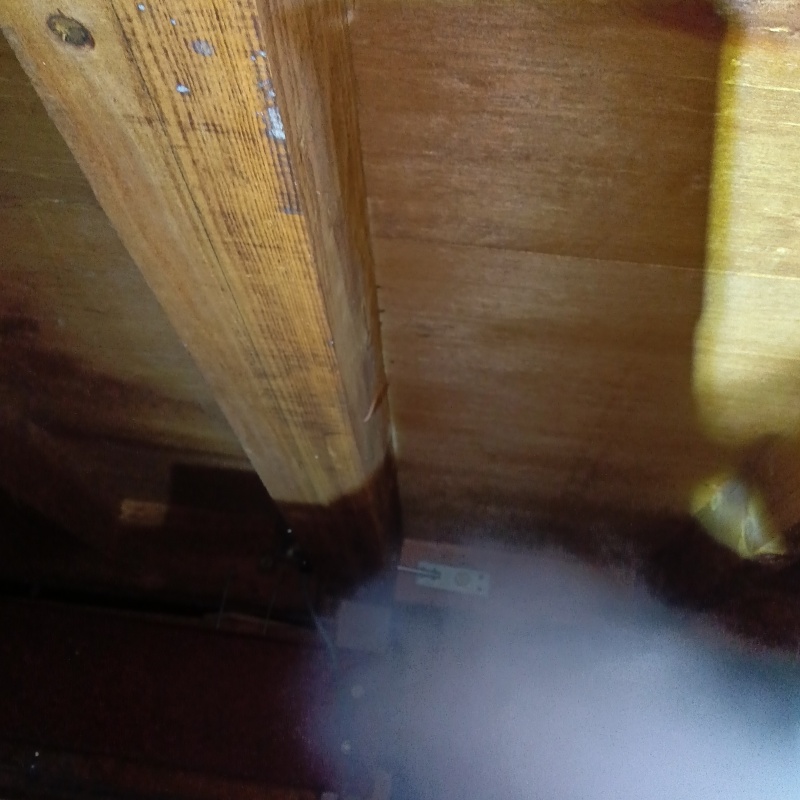 忌避スプレーを散布