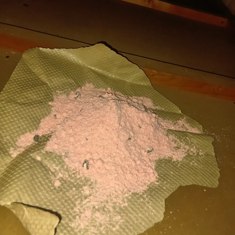 ネズミ駆除の施工事例（茨城県龍ケ崎市佐貫町）