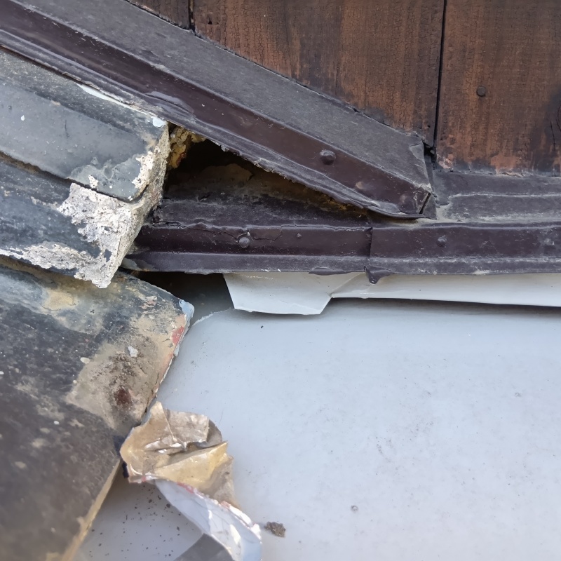 ネズミ駆除の施工事例（静岡県静岡市葵区鷹匠）