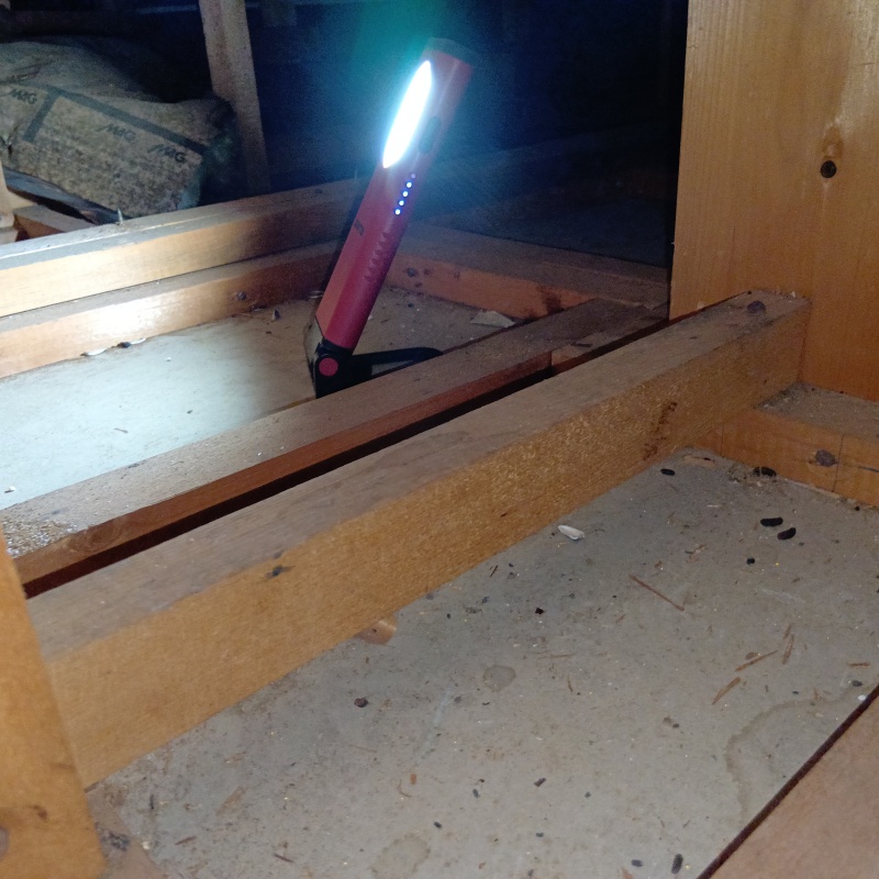 ネズミ駆除の施工事例（静岡県富士市三ツ沢）