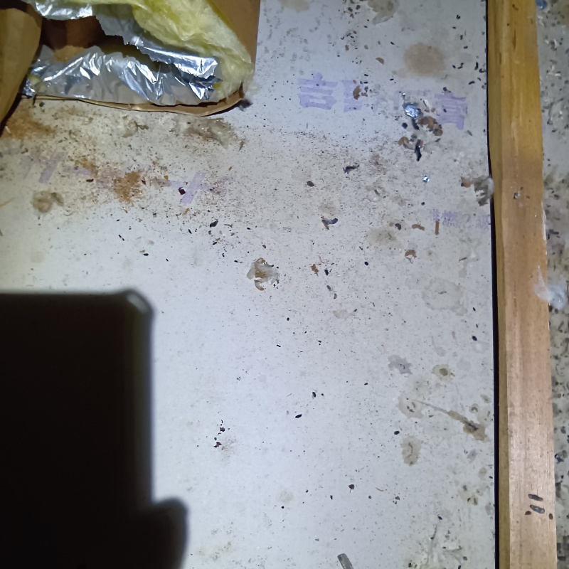 天井裏のフン汚れ