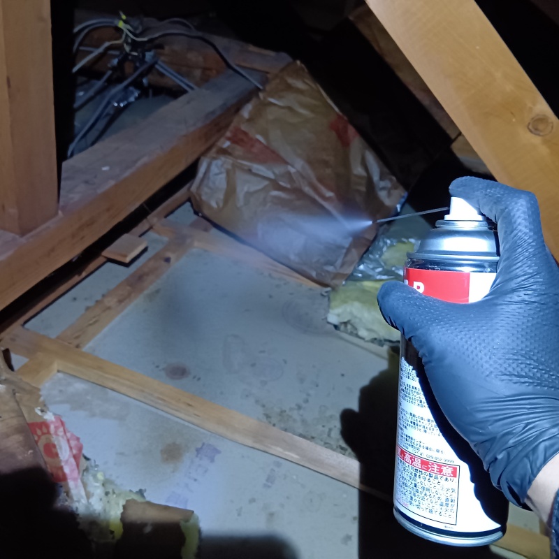 殺虫剤をスプレー