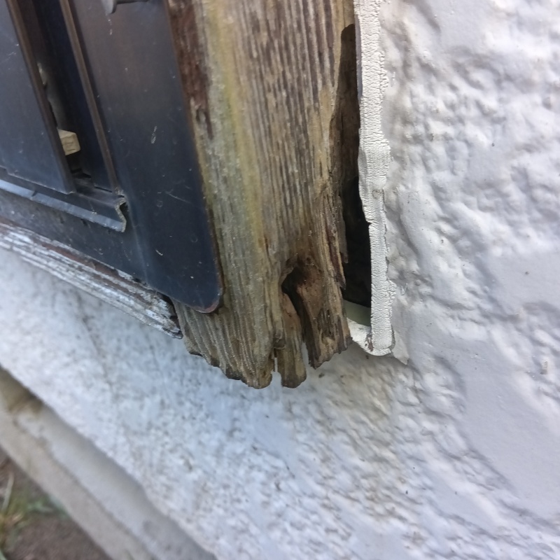 ネズミ駆除の施工事例（新潟県新潟市江南区酒屋町）