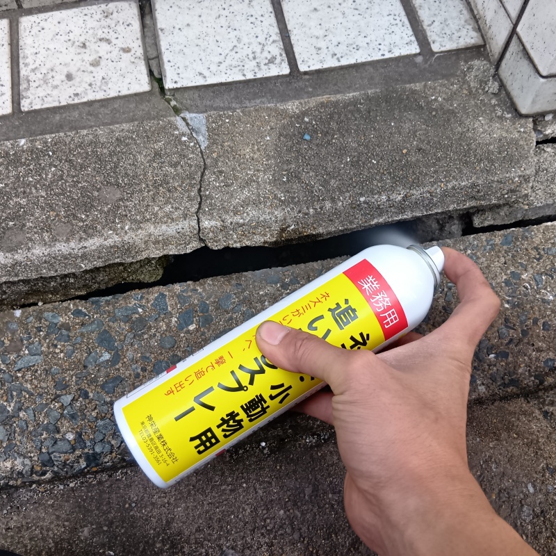 ネズミ駆除の施工事例（福岡県福岡市中央区）