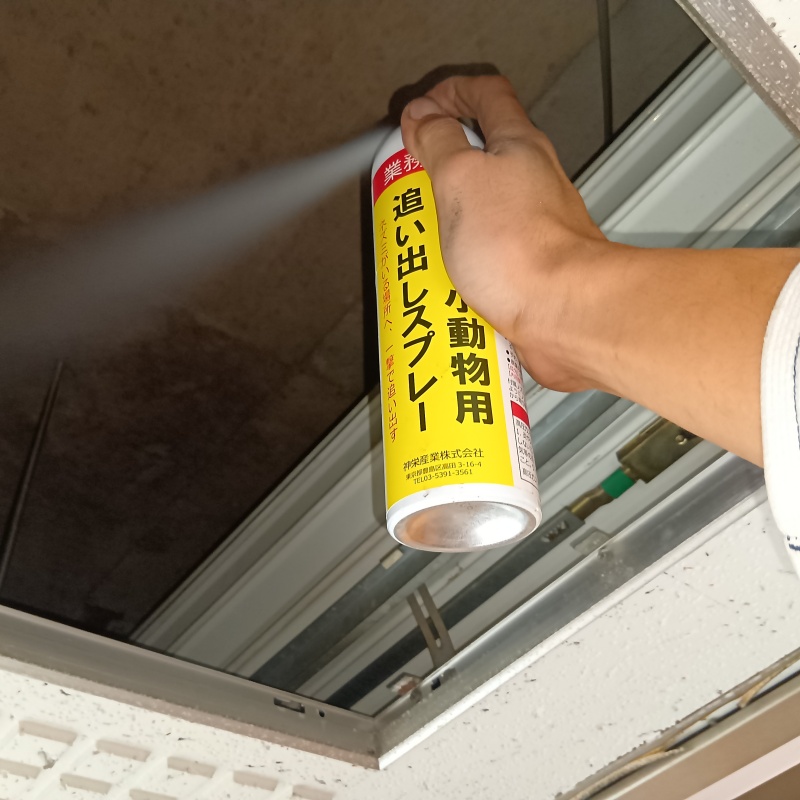 天井裏に忌避スプレーを散布