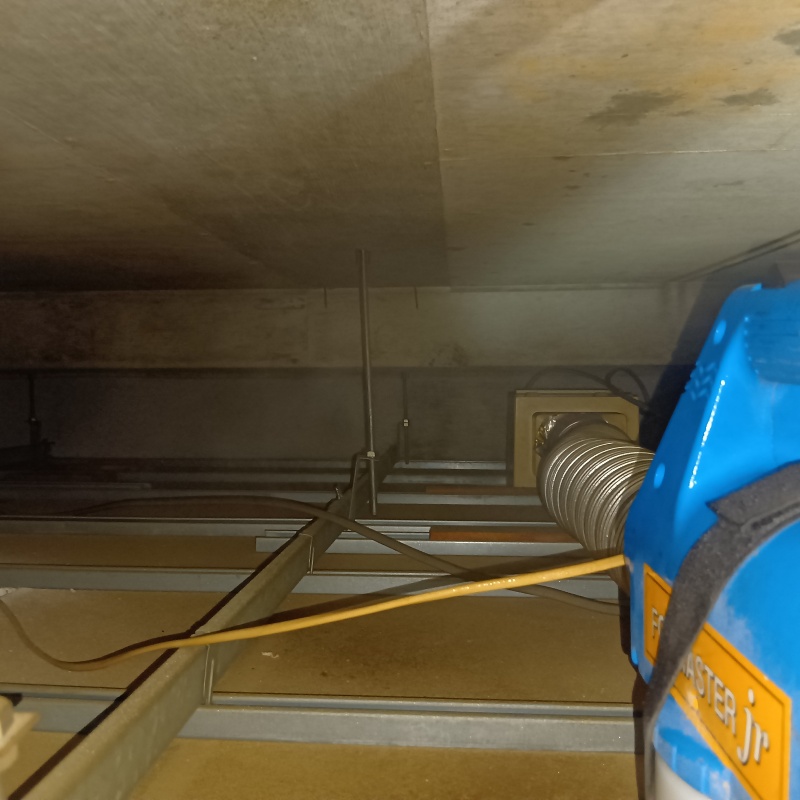 噴霧器で除菌剤を散布