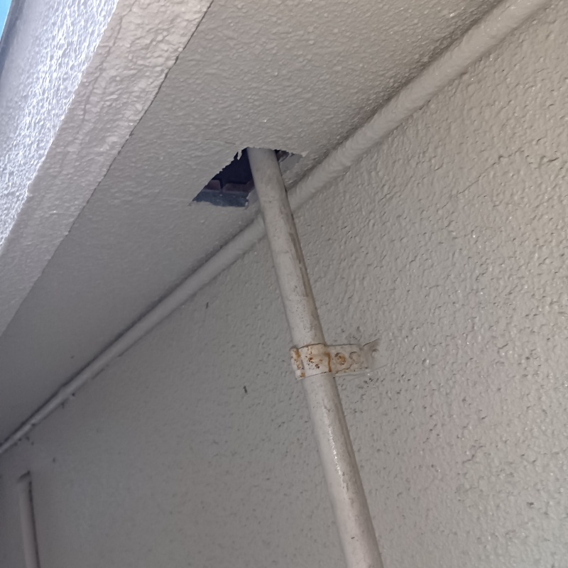 ネズミ駆除の施工事例（静岡県沼津市沼北町）