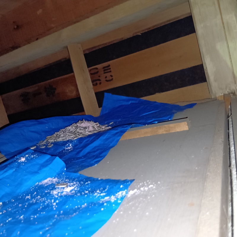 ネズミが殺鼠剤を食べたあと