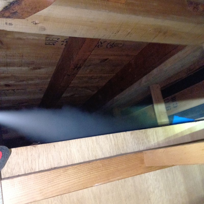 殺虫剤をスプレー