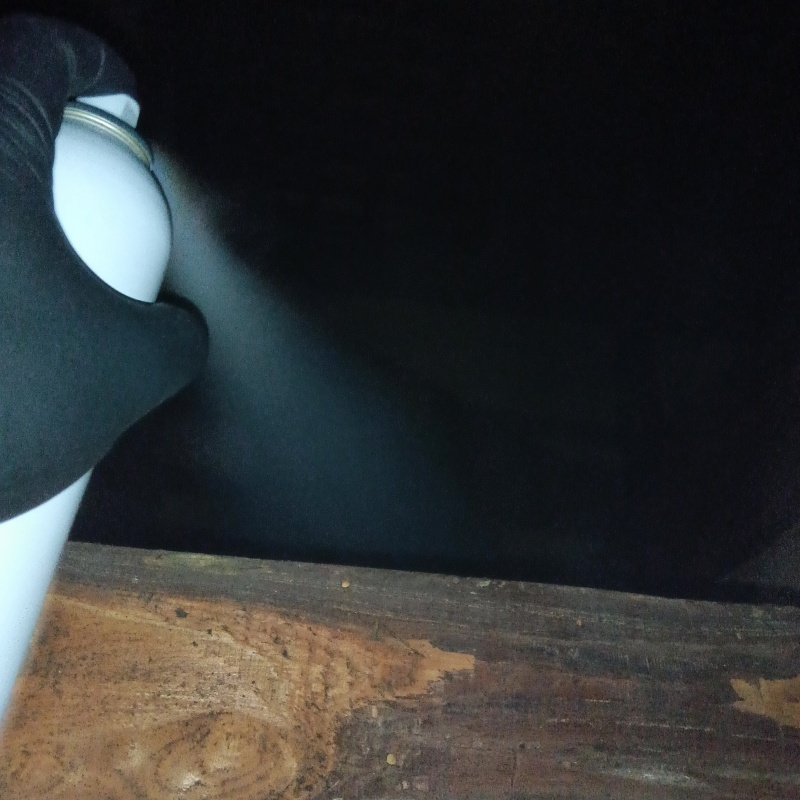 天井裏に忌避剤をスプレー