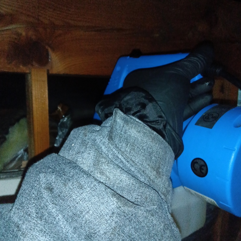 噴霧器で除菌剤を散布