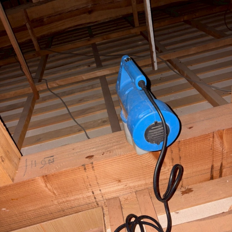 噴霧器で除菌剤を散布