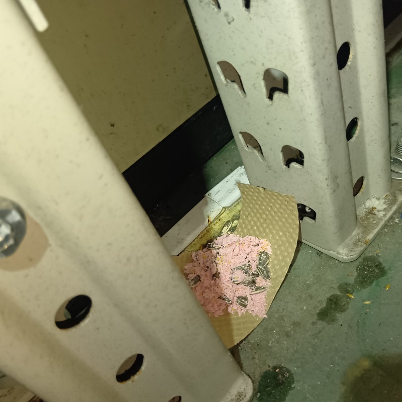 ネズミ駆除の施工事例（東京都江東区）