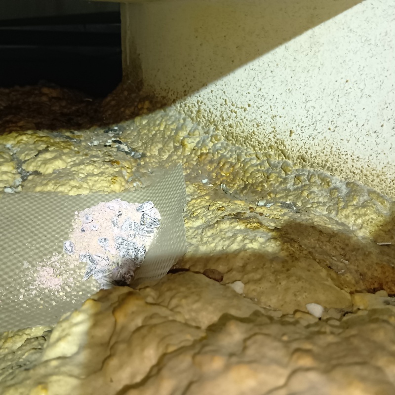 床に殺鼠剤を設置