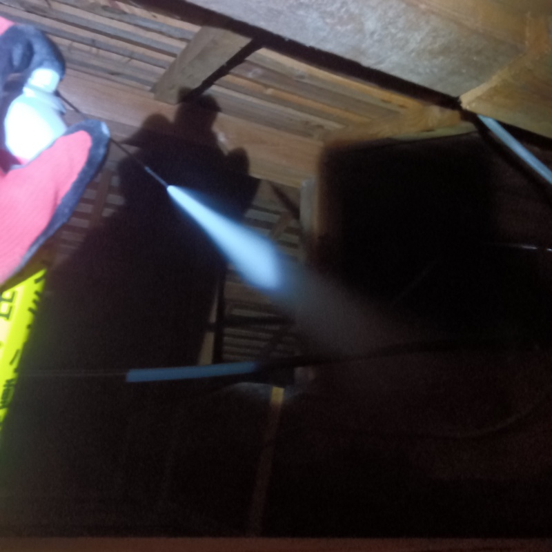 ネズミ駆除の施工事例（新潟県新潟市北区葛塚）