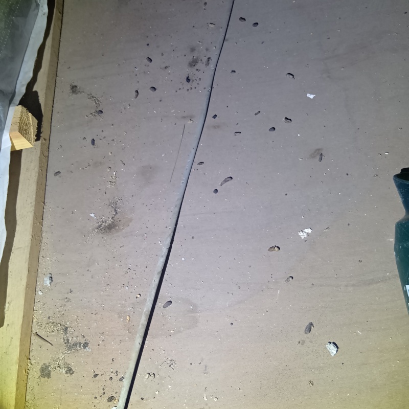 ネズミ駆除の施工事例（福島県双葉郡富岡町夜の森北）