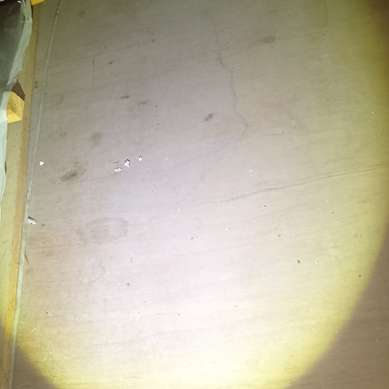 清掃が完了した様子