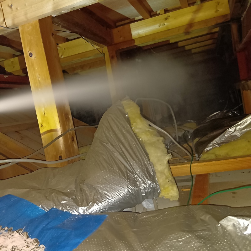 屋根裏に殺虫剤をスプレー