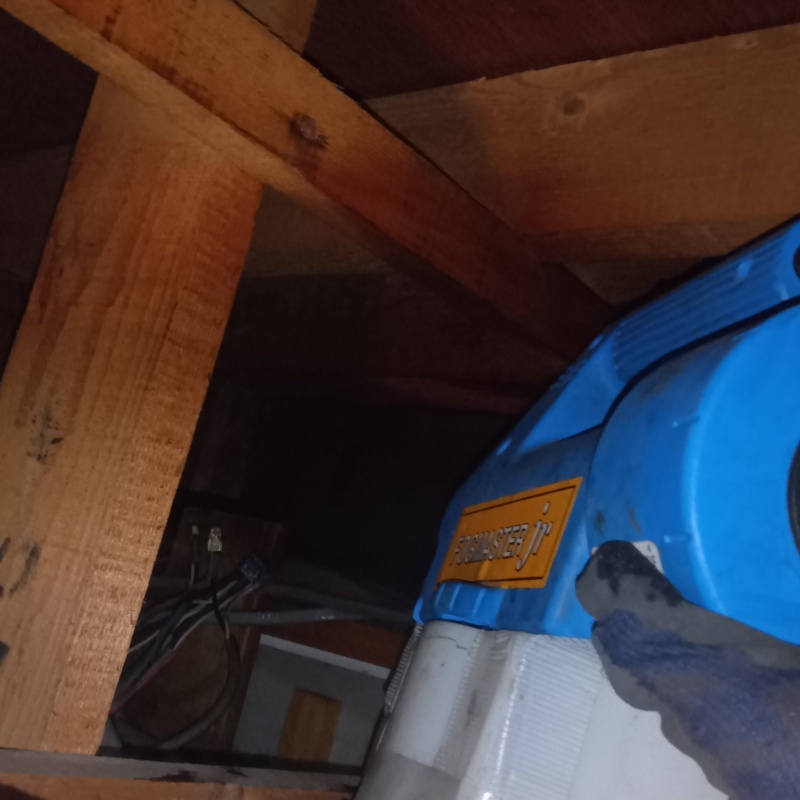 噴霧器で除菌剤を散布