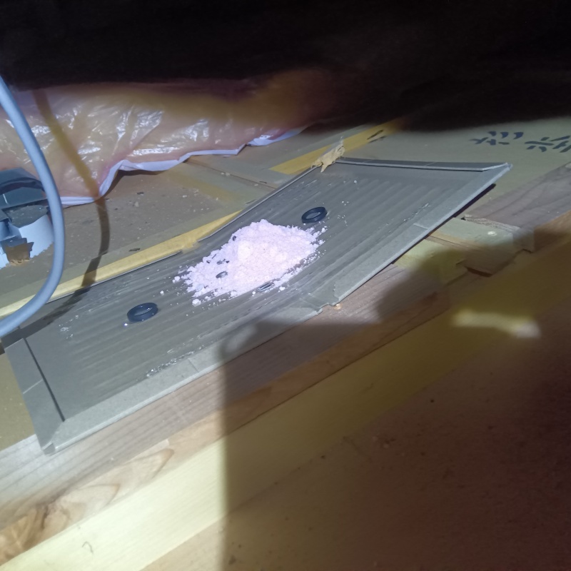 粘着シートの上に殺鼠剤を設置