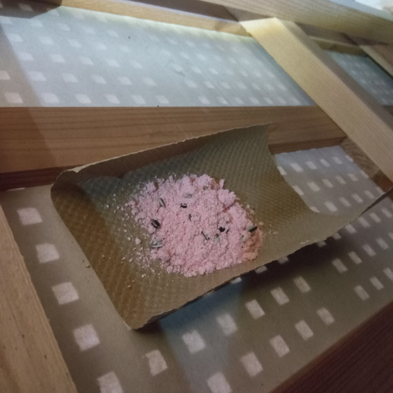 天井裏に殺鼠剤を設置