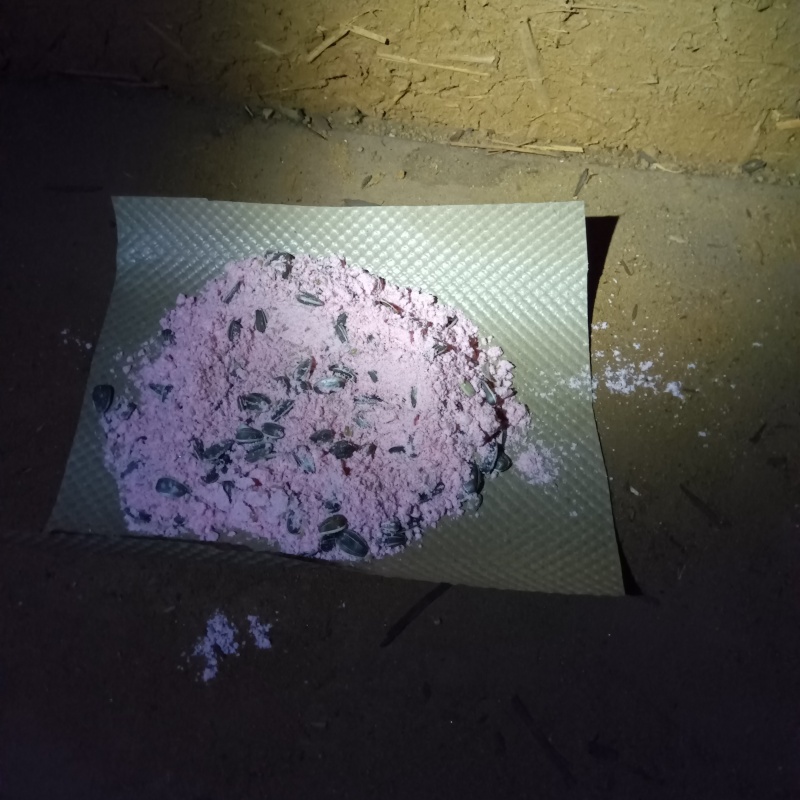 床下に殺鼠剤を設置