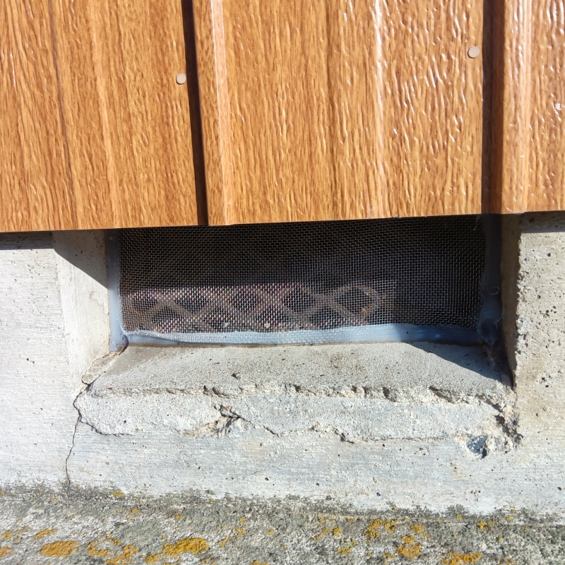 床下換気口をネットとパテで封鎖