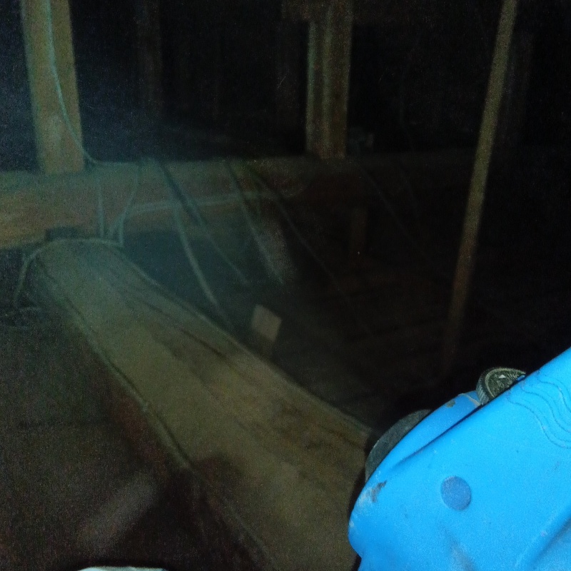 噴霧器で除菌剤を散布